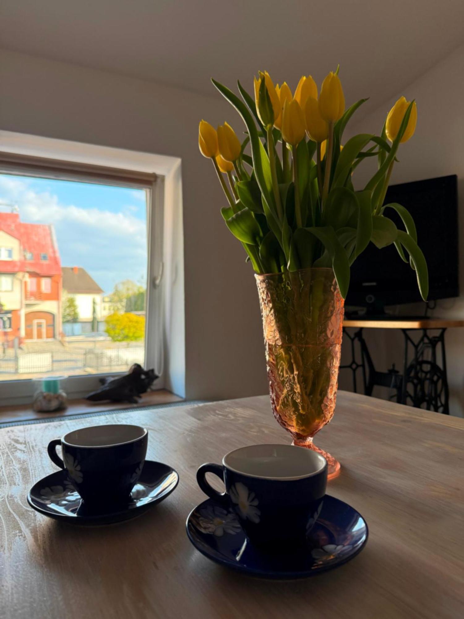 Studio Dwupokojowe Z Lazienka I Kuchnia Augustów Esterno foto